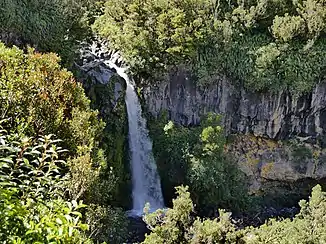 Dawson Falls vom Aussichtspunkt aus gesehen