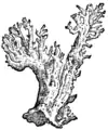 S. 138r
