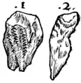 S. 161r