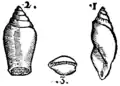 S. 166r, Abb. 2