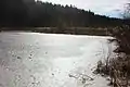 Im Winter mit Eisschicht