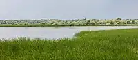Donaudelta