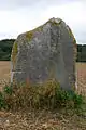 Menhir Demoiselle de Rhuis