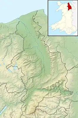 Ruthin Castle (Denbighshire)