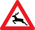 A26: Wildwechsel