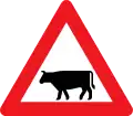 A27: Viehtrieb