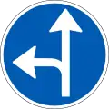 D11.6: Vorgeschriebene Fahrtrichtung – geradeaus und links