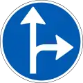 D11.7: Vorgeschriebene Fahrtrichtung – geradeaus und rechts