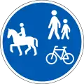 D27.1: Gemeinsamer Reit-, Geh- und Radweg