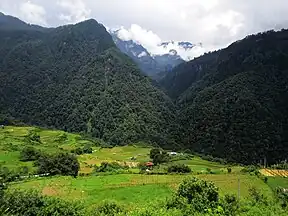 Jigme-Dorji-Nationalpark