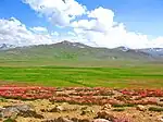 Deosai-Nationalpark