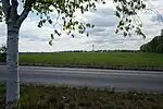 Blick nach Süden vom Ortsausgang Birkenhöhe auf den Funkturm in Birkholzaue (Bernau bei Berlin)