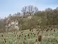 Gamsenberg zwischen Rehmen und Oppurg