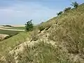 Lückiger Trockenrasen auf der Böschung der südlichen Terrasse.