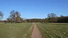Wiesen an der Elbe