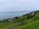 Blick auf die Haltnau, links unten das Restaurant