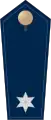 der Schutzpolizei
