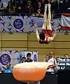 Tom Schultze am Sprung während der Gerätefinals