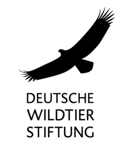 Logo der Deutschen Wildtier Stiftung
