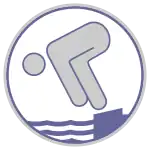 Schwimmabzeichen Silber