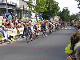 Das Hauptfeld