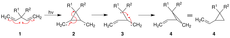 Mechanismus der Di-π-Methan-Umlagerung