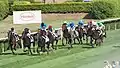Durance führt vor Diamanta, der reiterlosen Ismene, Akribie, Shining Pass, Naida und Donjah
