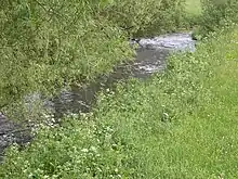 Die Amel bei Montenau