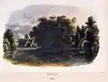 Die Grabesinsel im Schlosspark Gotha (ca. 1850)