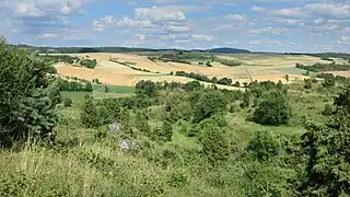 Die Hielöcher im Naturschutzgebiet Kripplöcher und Hielöcher