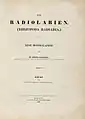 Die Radiolarien (Rhizopoda radiata)