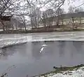 Der Zufluss