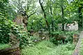 Vegetation im Ruinenbereich