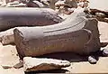 Fragmente von Palmsäulen aus dem offenen Hof des Totentempels der Djedkare-Pyramide