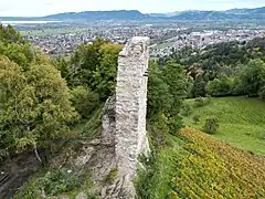 Burgruine Grimmenstein (Luftaufnahme: Blickrichtung Osten)