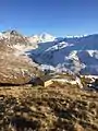 Quellgebiet des Gash auf der Alm von Dobërdol