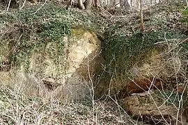 Eingang "E"