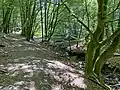 Dohrer Bachtal
