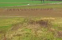 Gehölzpflanzung  am früheren Standort der Rednertribüne, im Vordergrund der darauf zuführende und als „Führerweg“ bezeichnete Mittelweg