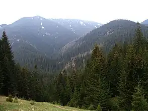 Blick von der Alm Polana Jamy