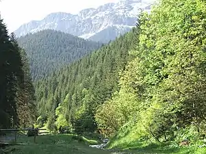 Wanderweg im Tal