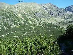 Dolina Pańszczyca, Polen