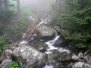 Velický potok, Slowakei