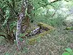 Dolmen von Cavagnès nordöstlich des Ortes