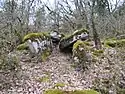 Dolmen Fumade Larroque