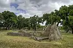 Zafra II