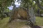 Zafra IV