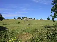 Wedge Tomb von Rathfran