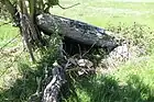 Dolmen von Castelnau