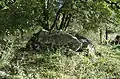 Dolmen de Crouzeilles, seit 1959 ein Monument historique